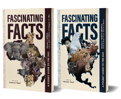 Fascinating Facts: Volumes 1 & 2 Bundle