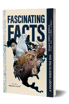 Fascinating Facts: Volume 2 (North America) PRE-SALE