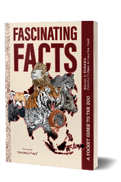 Fascinating Facts: Volume 3 (Eurasia) - PRE-ORDER