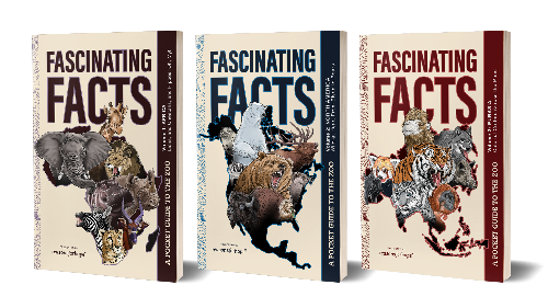 Fascinating Facts: Volumes 1, 2, & 3 Bundle