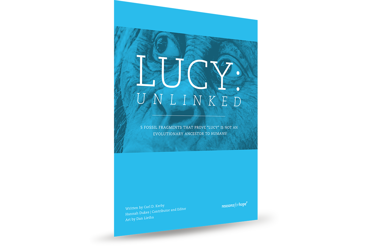 Lucy Unlinked Booklet