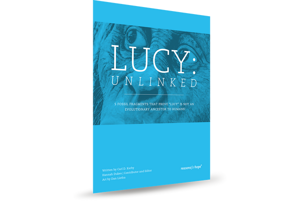 Lucy Unlinked Book